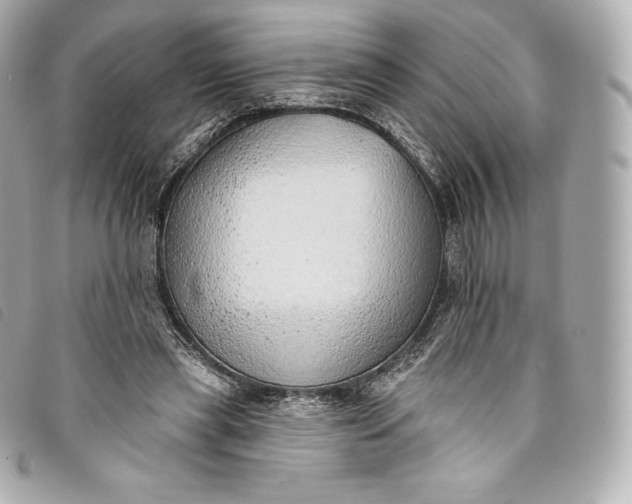 X0000093500445200710261141