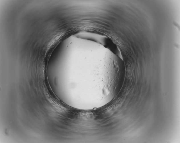 X0000093500446200710261141