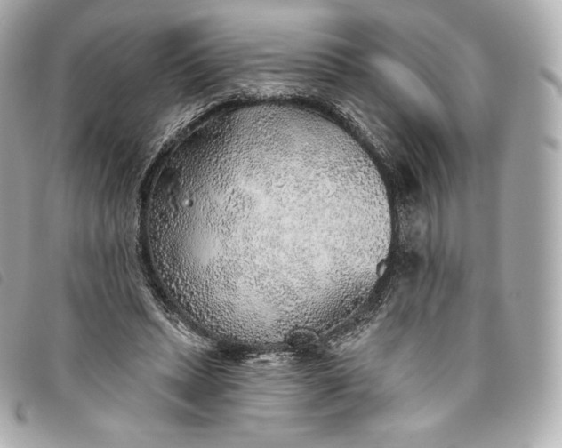 X0000093500447200710261141