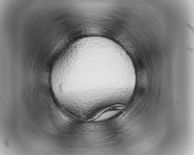 X0000093500449200710261141