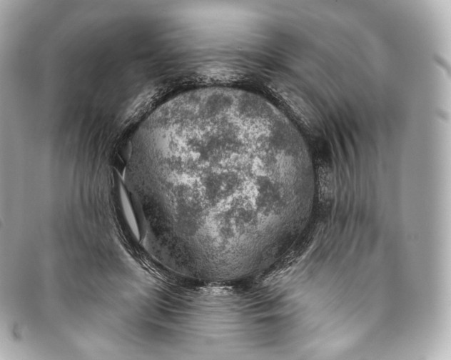 X0000093500451200710261141