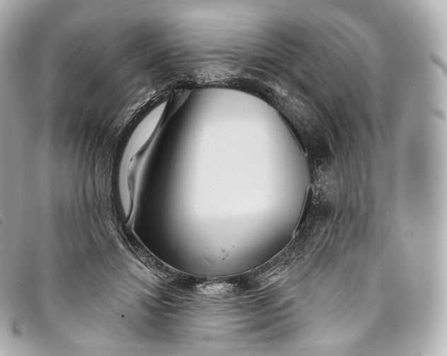 X0000093500452200710261141