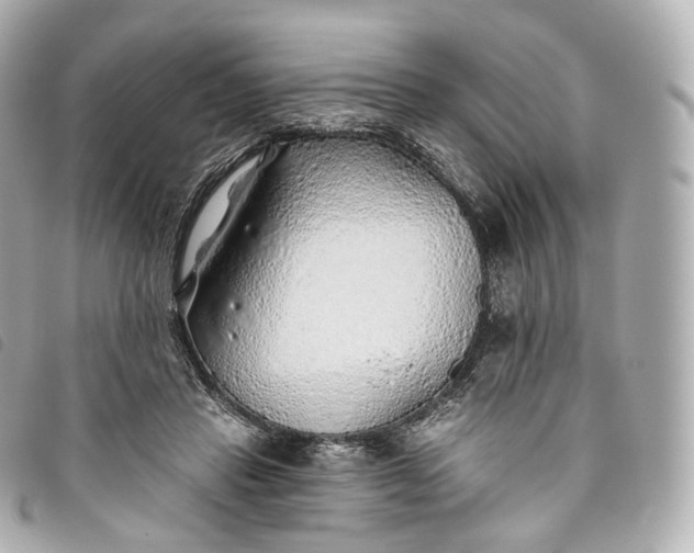 X0000093500453200710261141