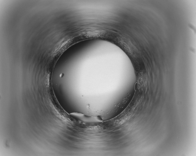 X0000093500454200710261141