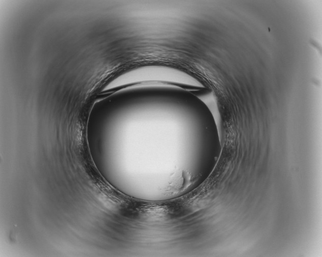 X0000093500456200710261141