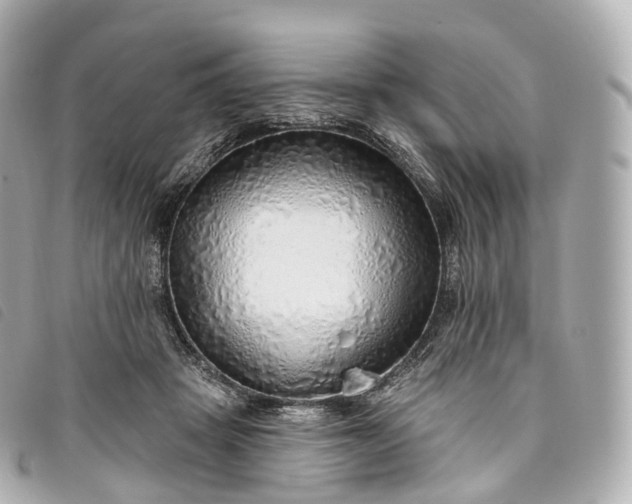 X0000093500457200710261141