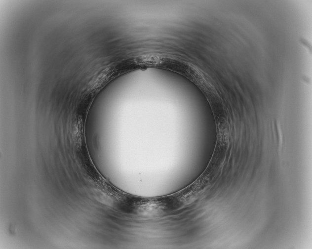 X0000093500460200710261141