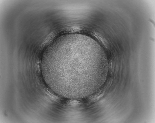 X0000093500462200710261141