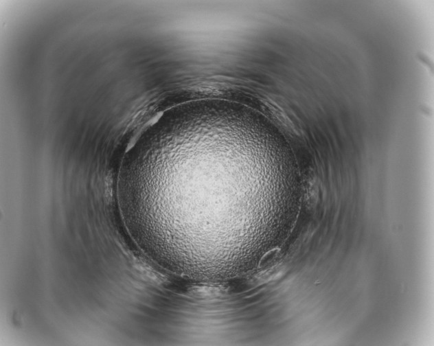 X0000093500466200710261141