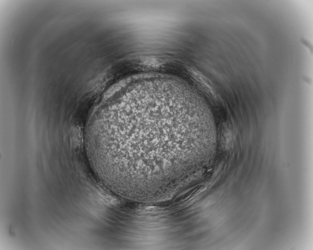 X0000093500467200710261141