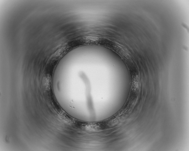 X0000093500468200710261141