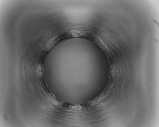 X0000093500471200710261141