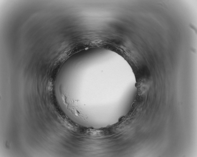 X0000093500472200710261141