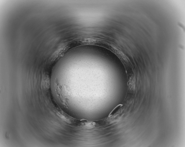 X0000093500474200710261141