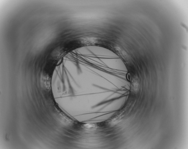 X0000093500477200710261141