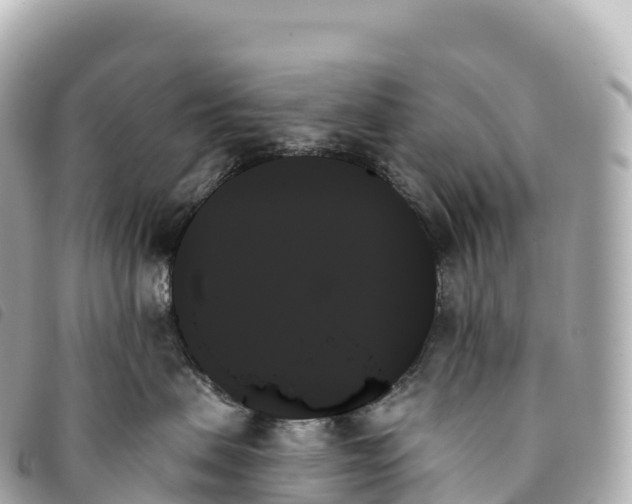 X0000093500479200710261141