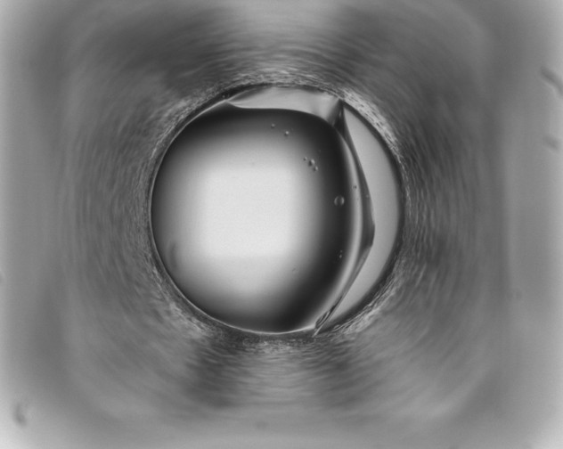 X0000093500481200710261141