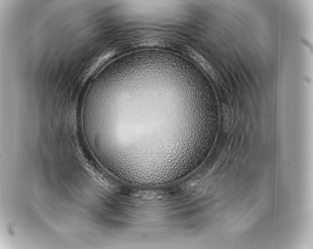 X0000093500482200710261141