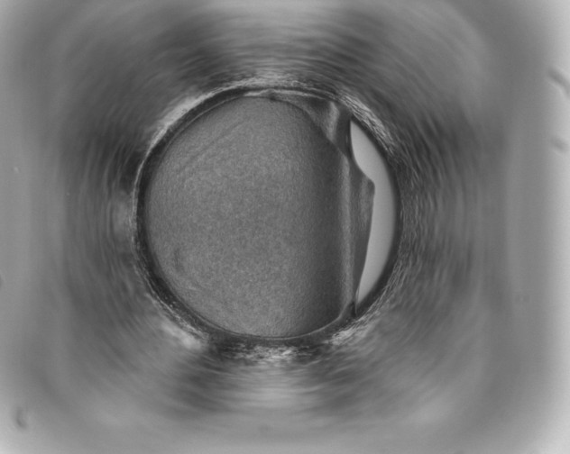 X0000093500484200710261140