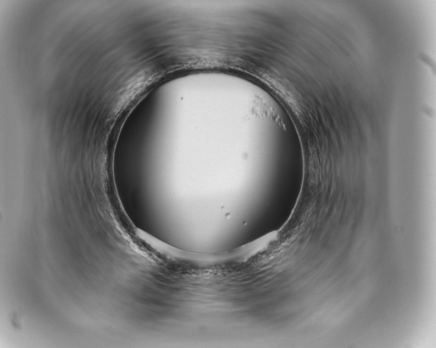 X0000093500485200710261140