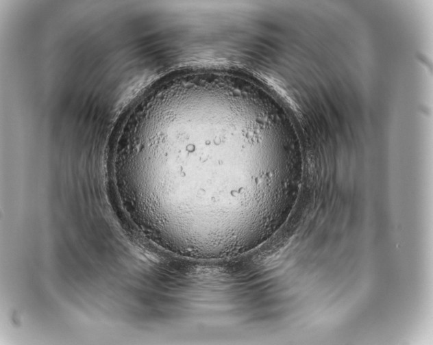 X0000093500487200710261140