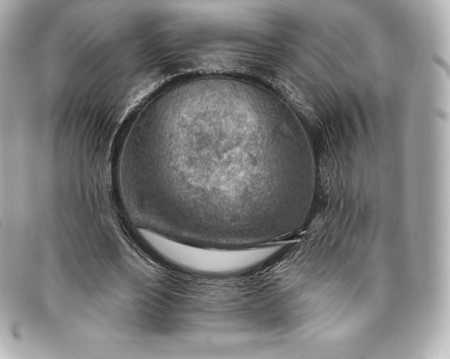 X0000093500488200710261140
