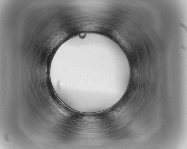X0000093500490200710261140