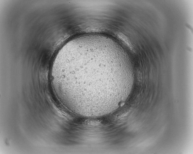 X0000093500491200710261140