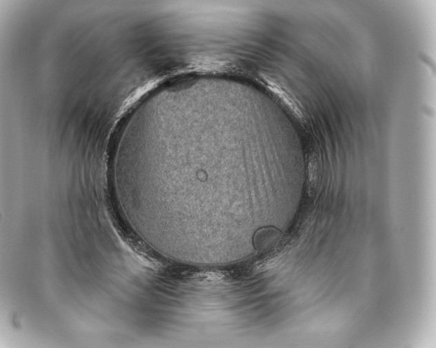 X0000093500492200710261140