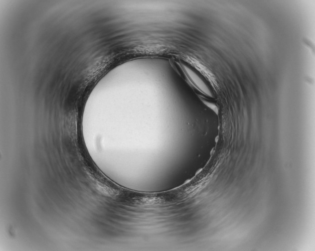 X0000093500493200710261140
