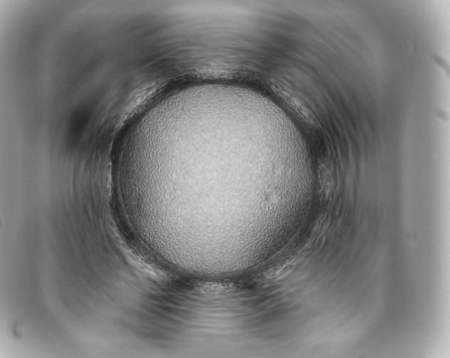 X0000093500494200710261140