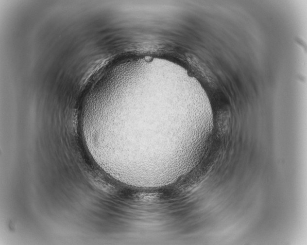 X0000093500495200710261140