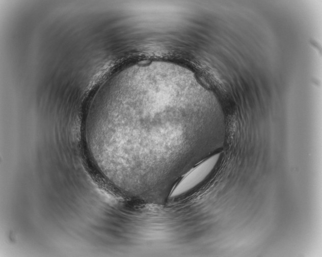 X0000093500496200710261140