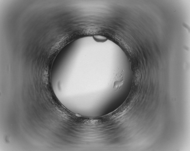 X0000093500497200710261140