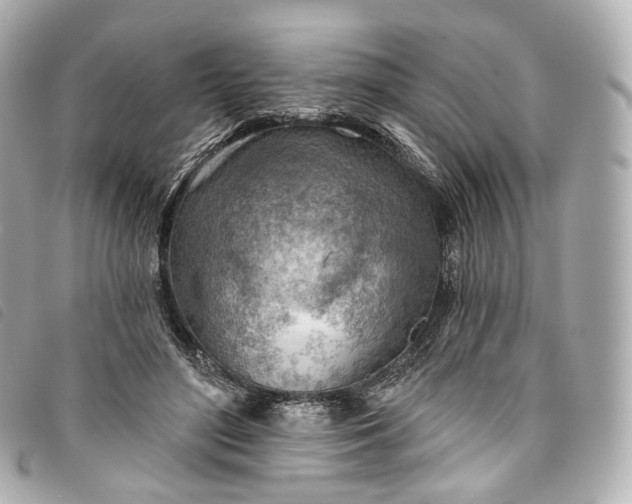 X0000093500500200710261140