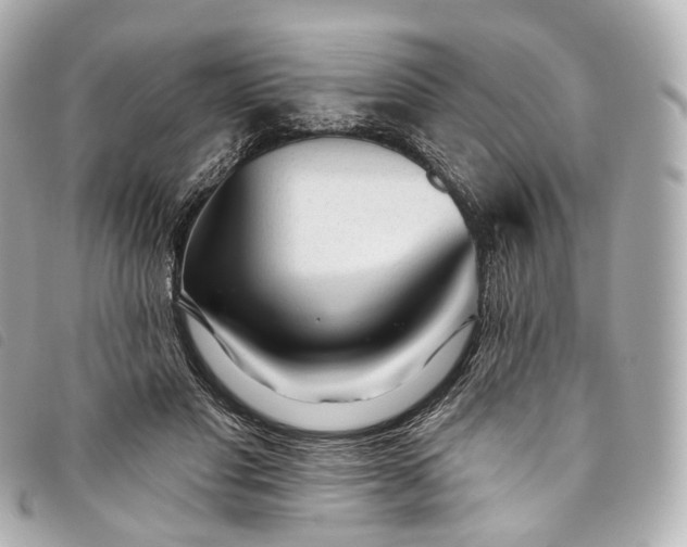 X0000093500501200710261140