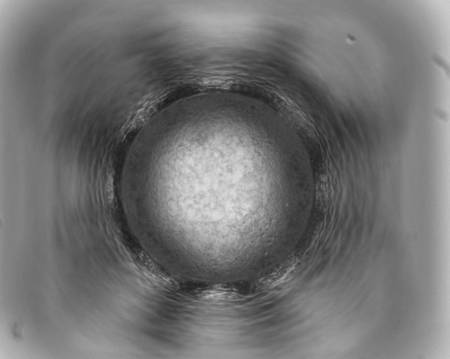 X0000093500504200710261140