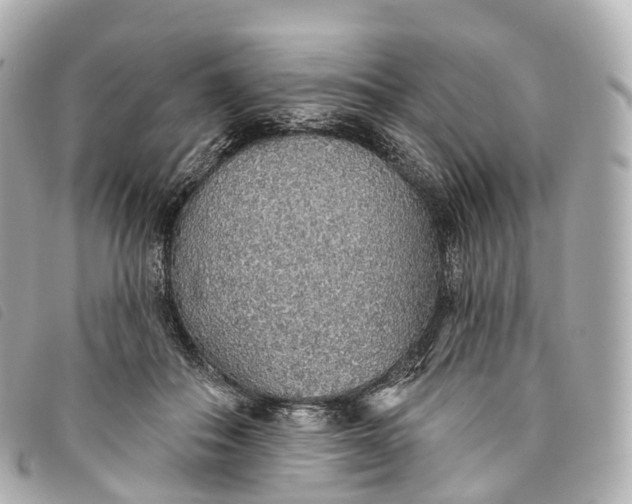 X0000093500506200710261140