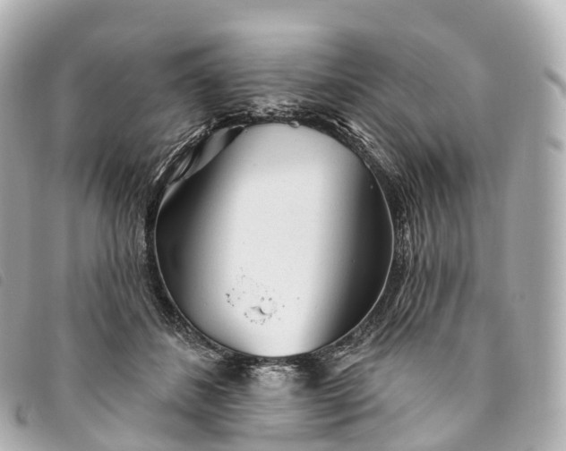 X0000093500508200710261140