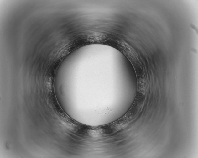 X0000093500510200710261140