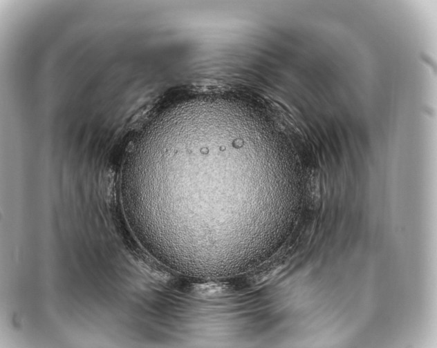 X0000093500511200710261140