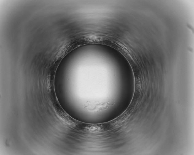 X0000093500512200710261140