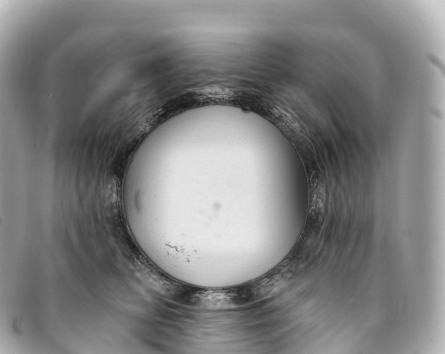 X0000093500518200710261140