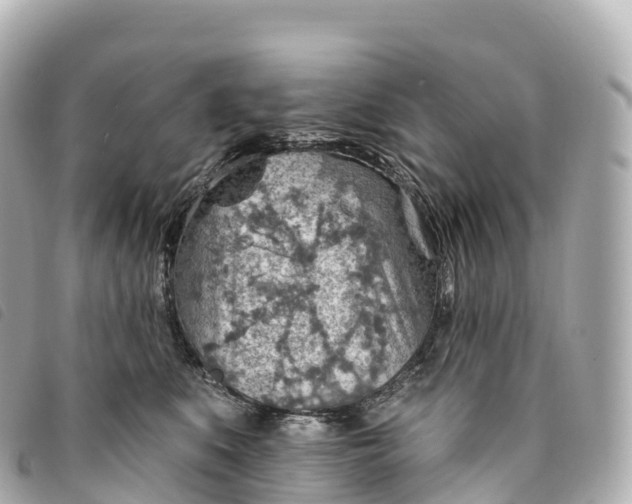 X0000093500519200710261140