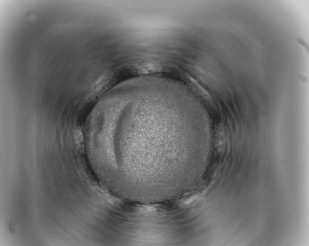 X0000093500523200710261140