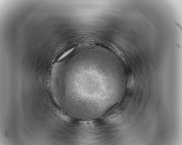 X0000093500524200710261140