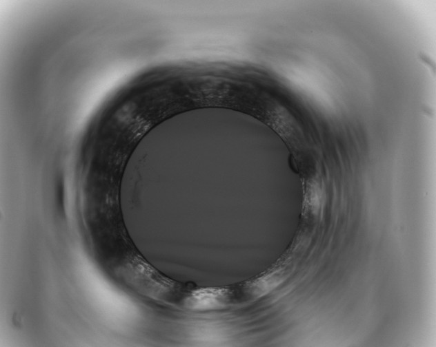 X0000093500526200710261140