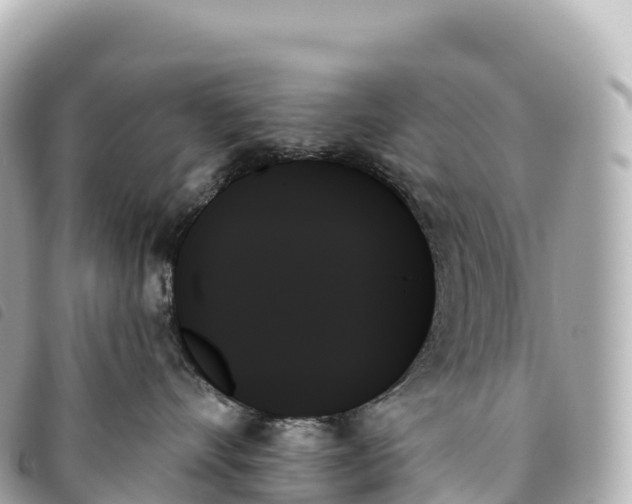 X0000093500528200710261140