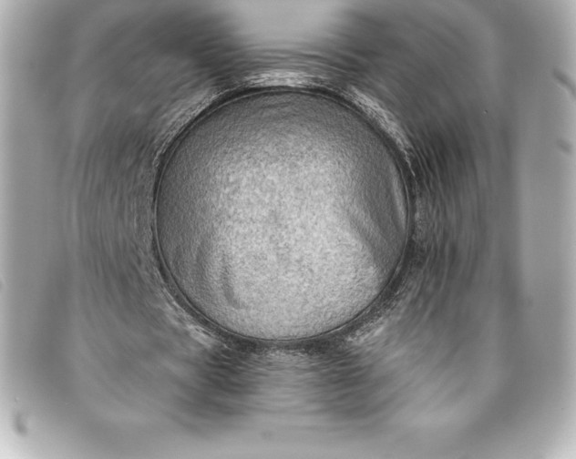X0000093500529200710261139