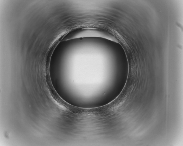X0000093500530200710261139